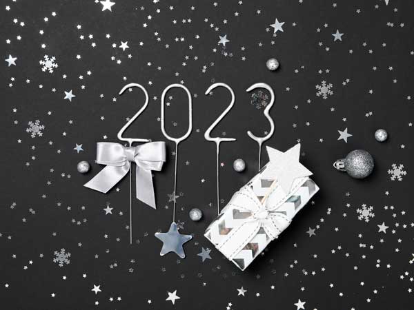 Merry Christmas and a Happy New Year Merry Christmas and a Happy New Year